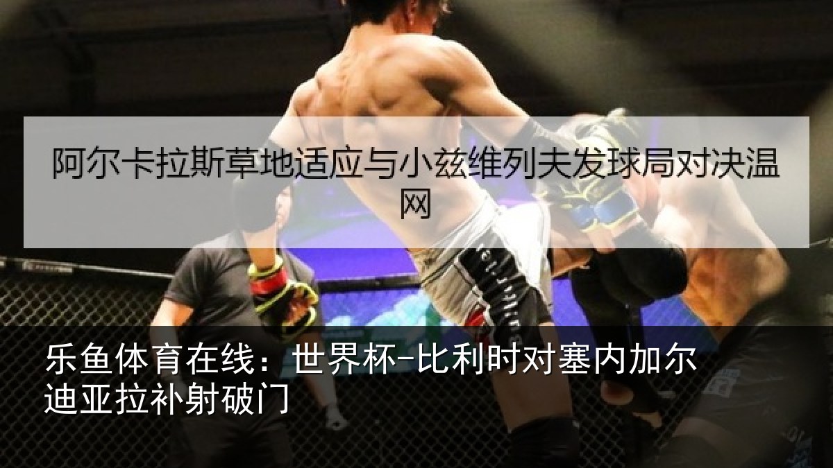 乐鱼体育在线:世界杯-比利时对塞内加尔迪亚拉补射破门